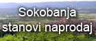 Soko Banja